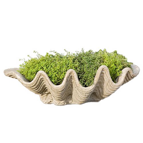 6" South Seas Planter, Verde