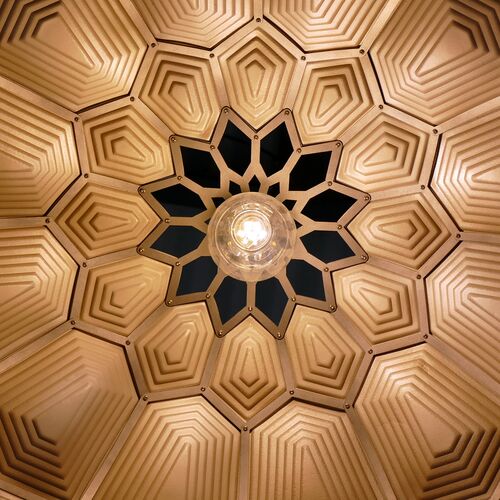 Turtle Embossed Leather Dome Light 9 Turtle Embossed Leather Dome Light