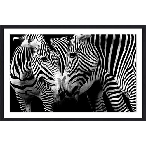 Zebra Snuggle 1 Zebra Snuggle