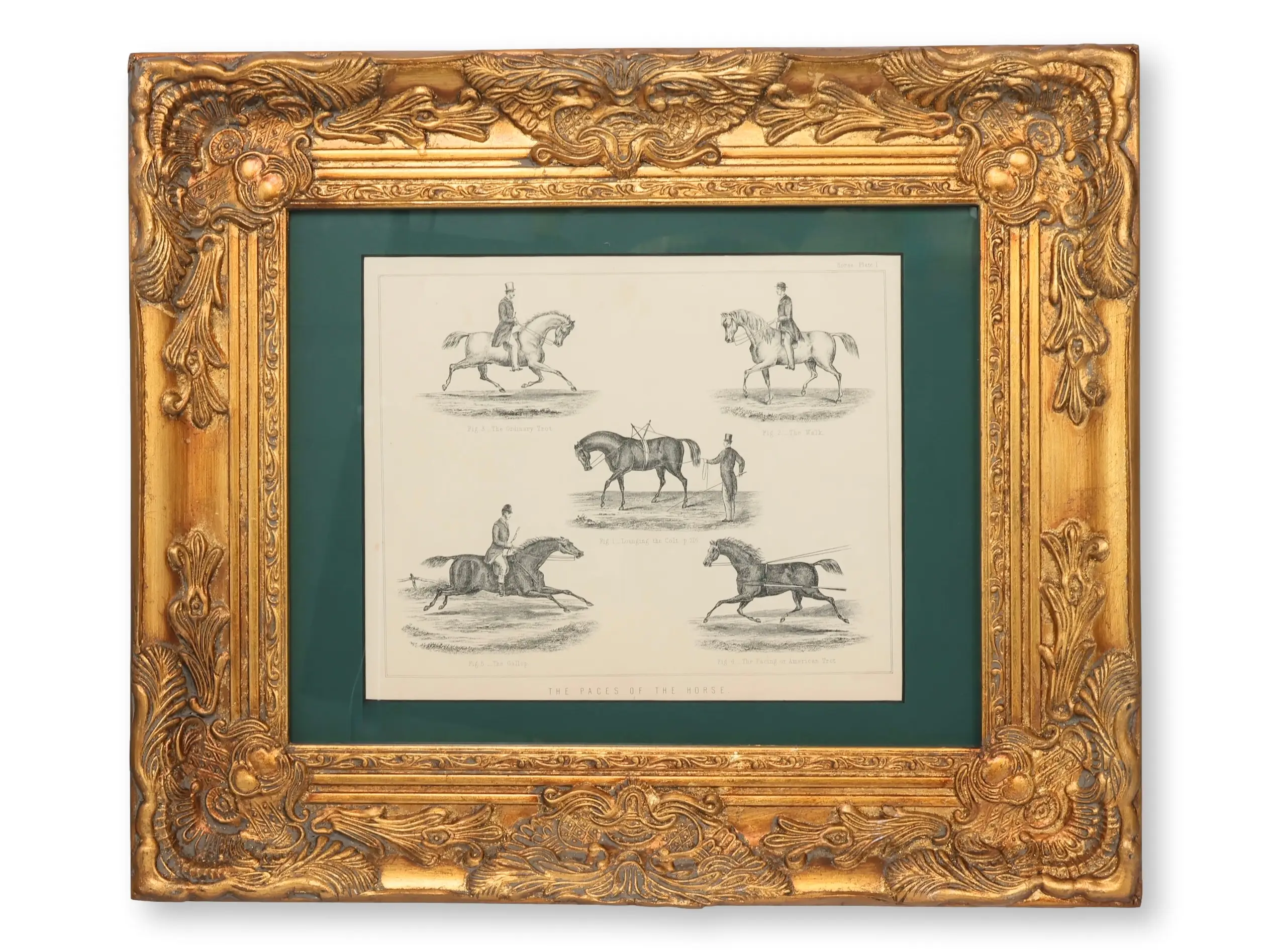 19th-C. Â¡Â°The Paces of the HorseÂ¡Â±