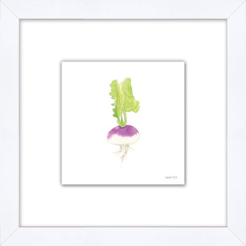 Sara Fitz, Turnip 1 1 Sara Fitz, Turnip 1
