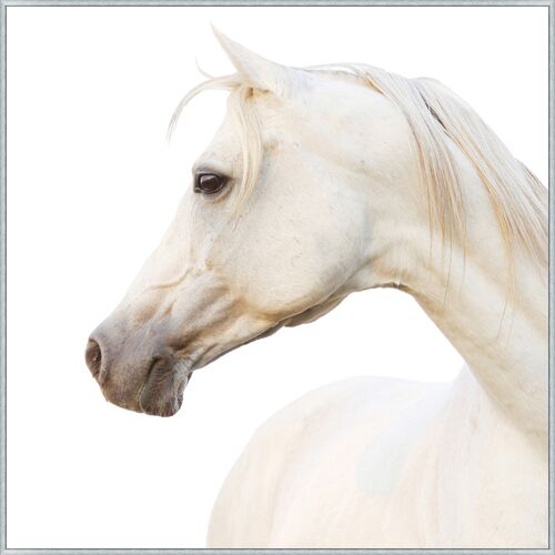 Ivory 1 Ivory