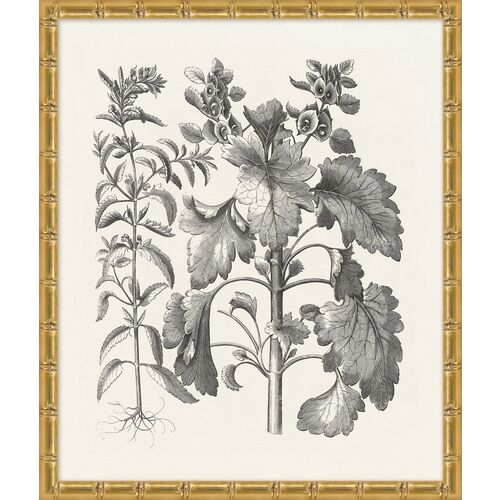 Lillian August, Bessler Study in Neutral VII 1 Lillian August, Bessler Study in Neutral VII