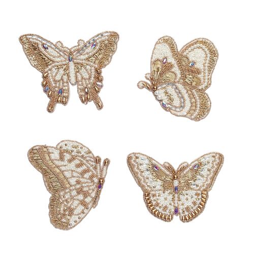 S/4 Papillon Coasteras 1 S/4 Papillon Coasteras