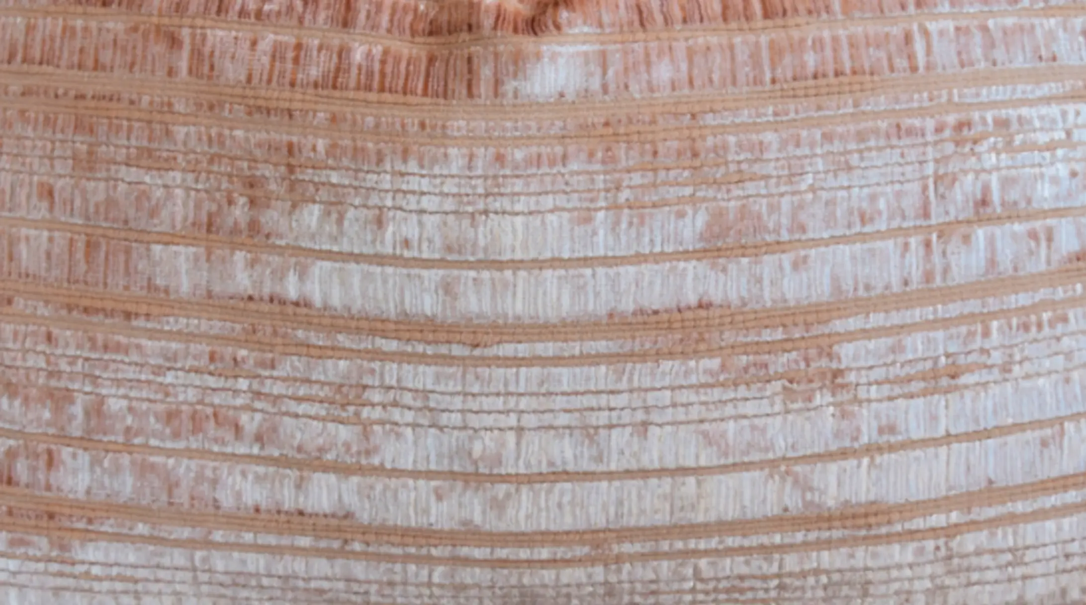 French Peach-Pink Silk Velvet Pillow 2 French Peach-Pink Silk Velvet Pillow