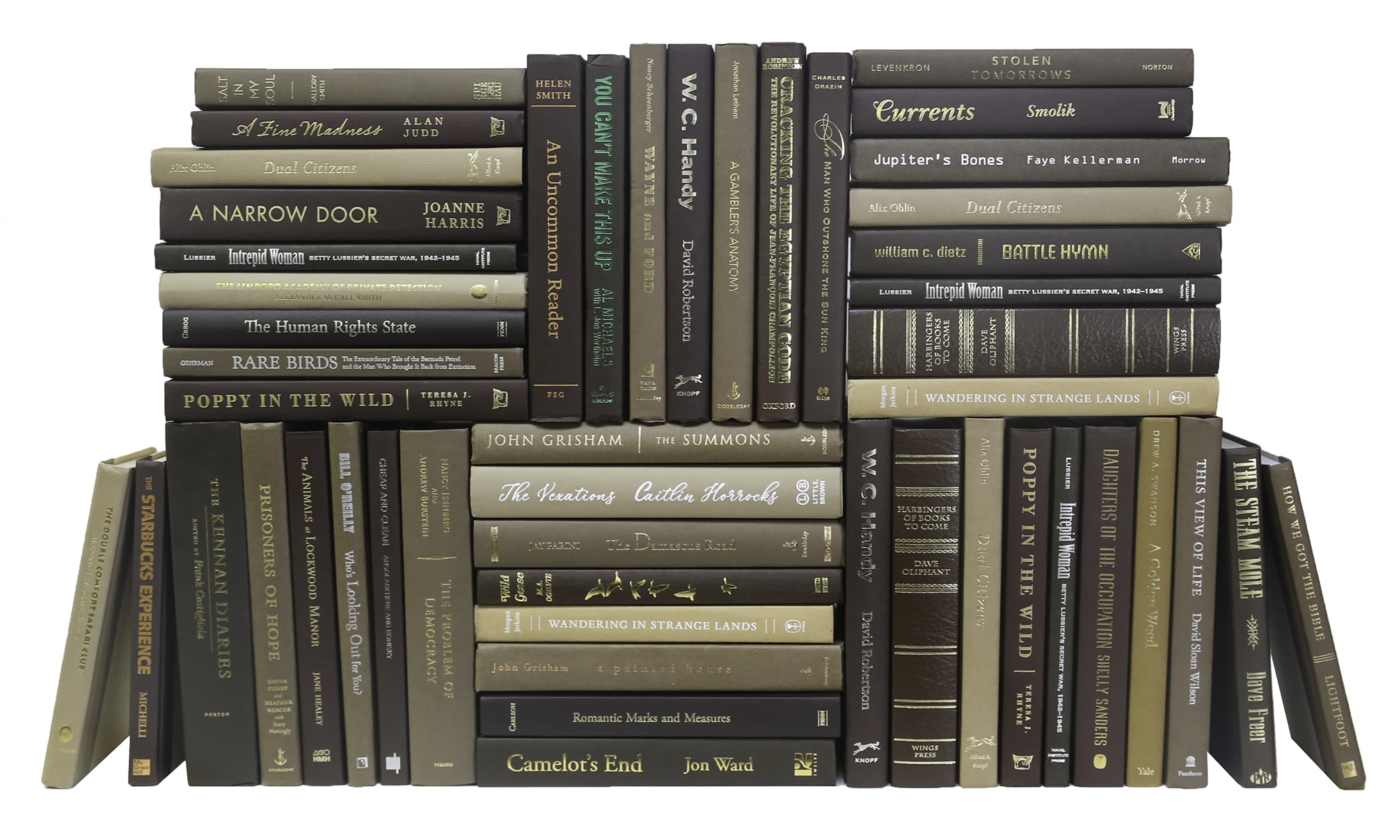 Set of 50 Decorative Book Wall, Chocolate 1 Set of 50 Decorative Book Wall, Chocolate