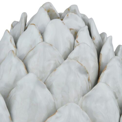 Artichoke, White 2 Artichoke, White