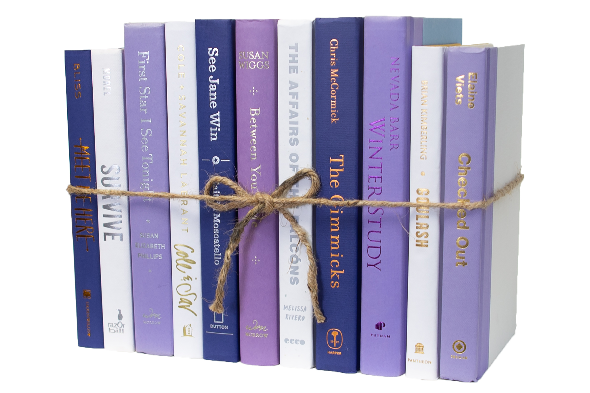1-Foot Modern Book Bundle, Violet Eclipse 1 1-Foot Modern Book Bundle, Violet Eclipse