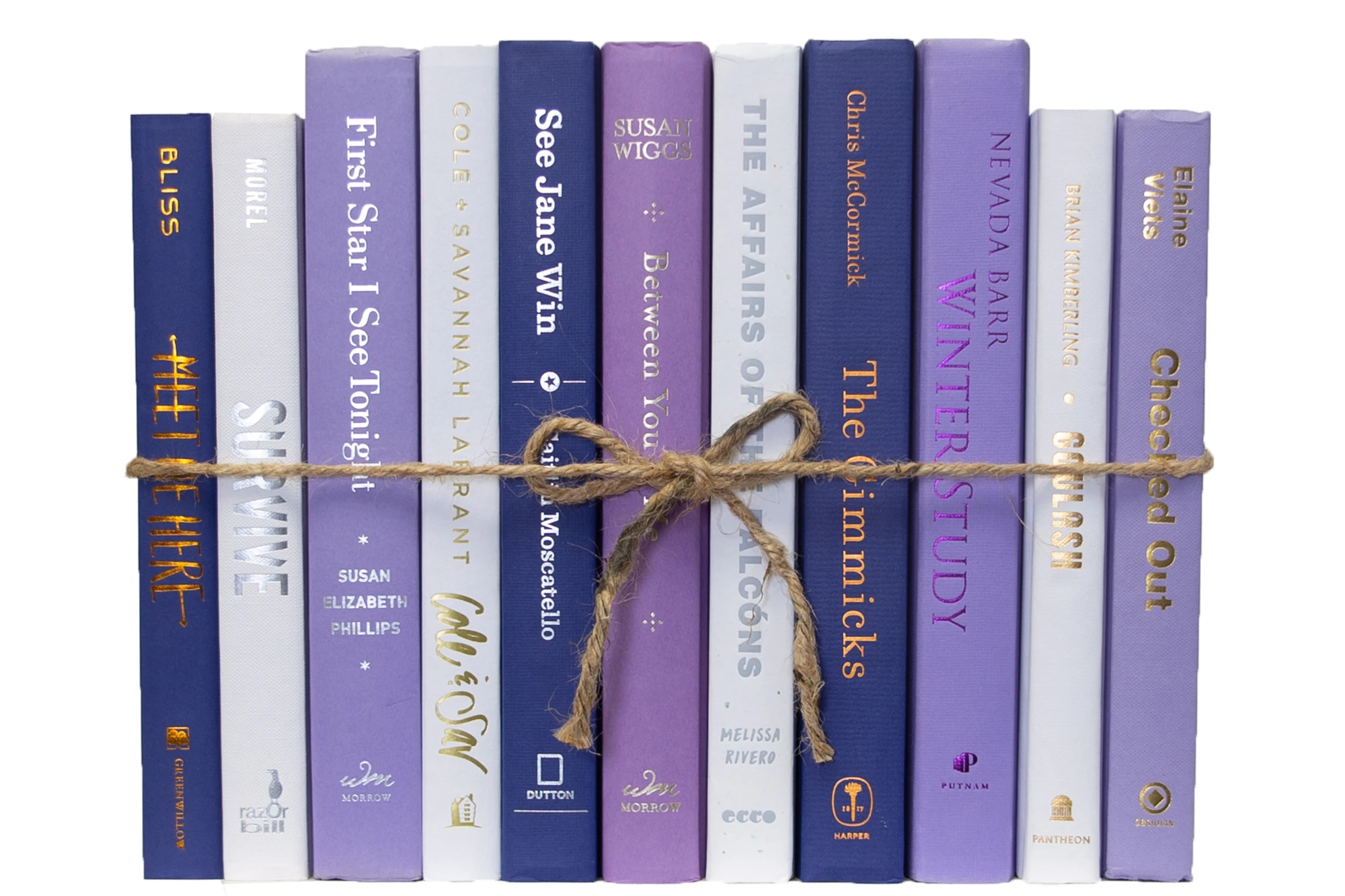 1-Foot Modern Book Bundle, Violet Eclipse 2 1-Foot Modern Book Bundle, Violet Eclipse