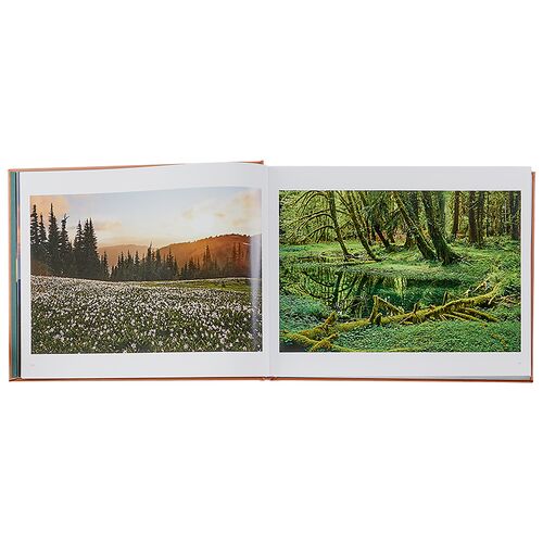 Treasured Lands Leatherbound Book 3 Treasured Lands Leatherbound Book