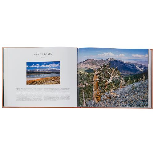 Treasured Lands Leatherbound Book 5 Treasured Lands Leatherbound Book