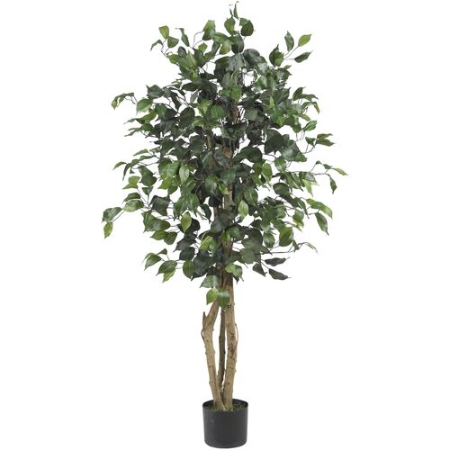 48" Ficus Silk Tree 1 48" Ficus Silk Tree