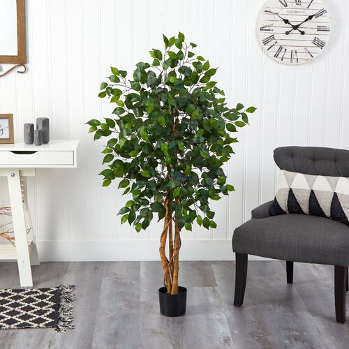 48" Ficus Silk Tree 4 48" Ficus Silk Tree