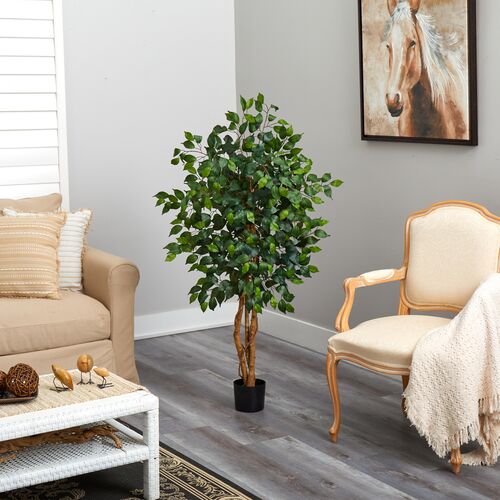 48" Ficus Silk Tree 5 48" Ficus Silk Tree
