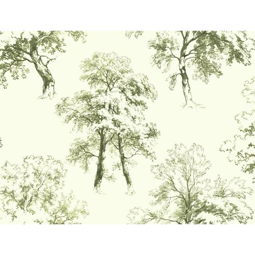 Deciduous Wallpaper, Green 1 Deciduous Wallpaper, Green