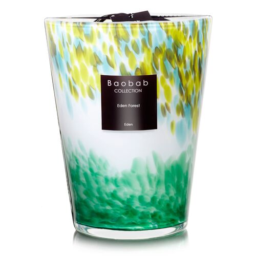Forest Candle, Grapefruit & Green Tea 4 Forest Candle, Grapefruit & Green Tea