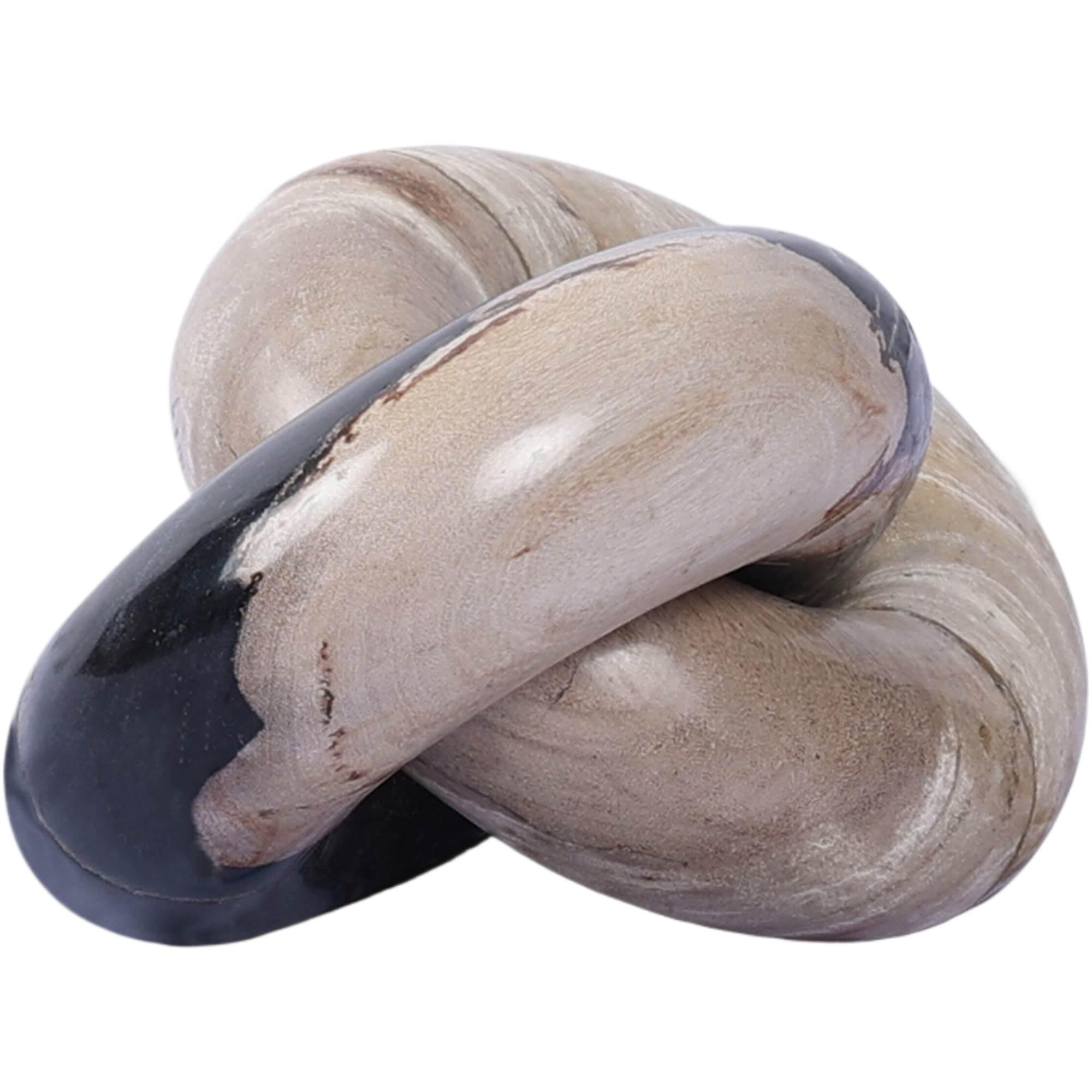 Kivo Wood Knot, Dark Petrified Wood 5 Kivo Wood Knot, Dark Petrified Wood