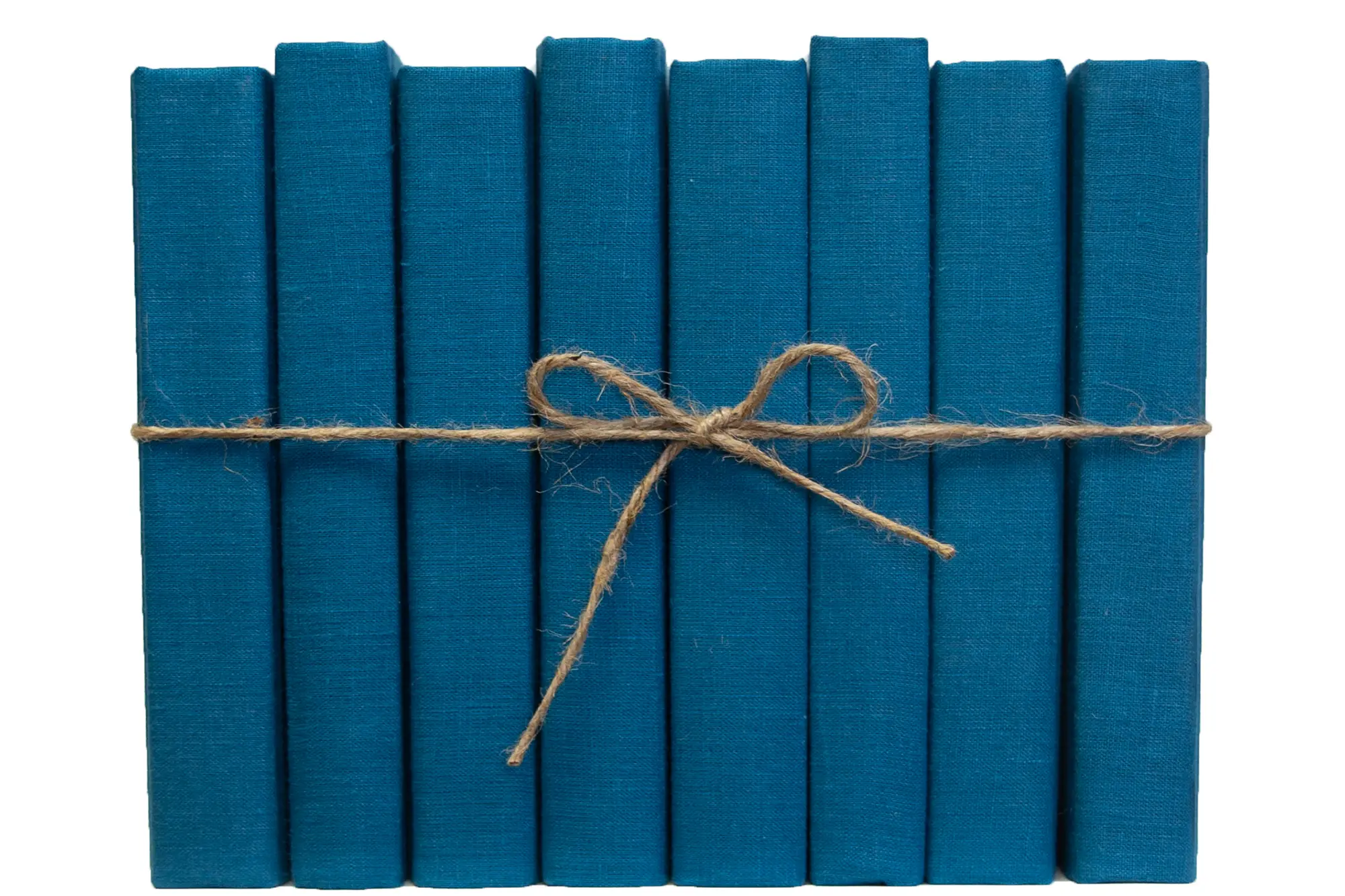 1-Foot Decorative Book Bundle, Blue Spruce