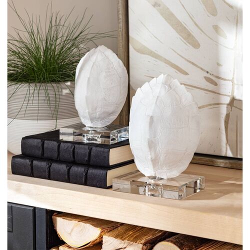 S/2 Turtle Shells On Crystal 5 S/2 Turtle Shells On Crystal
