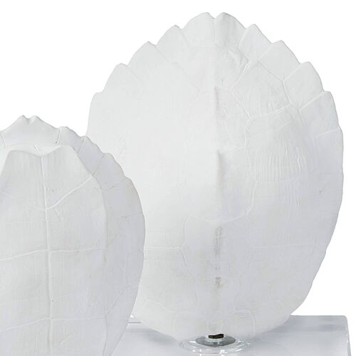 S/2 Turtle Shells On Crystal 8 S/2 Turtle Shells On Crystal