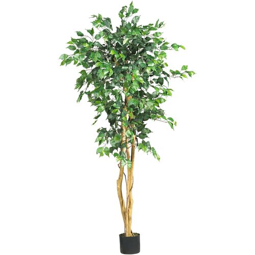 60" Ficus Tree 1 60" Ficus Tree