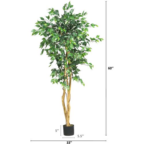 60" Ficus Tree 8 60" Ficus Tree