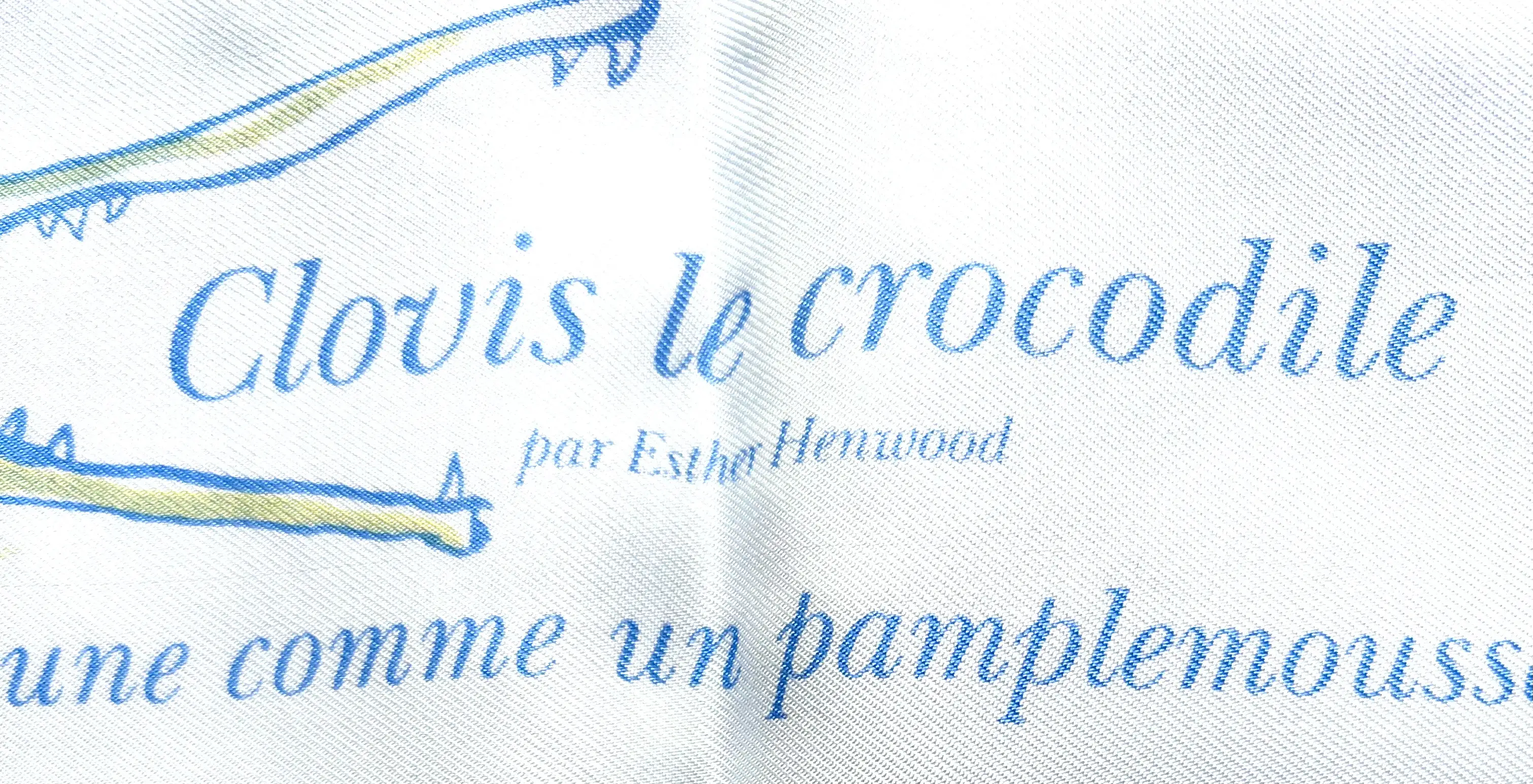 Herm?????s Clovis Le Crocodile Scarf & Story 9 Herm?????s Clovis Le Crocodile Scarf & Story